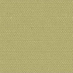 Outdura Samba Basil 10812 Ovation 4 Collection - Garden Spot Upholstery Fabric