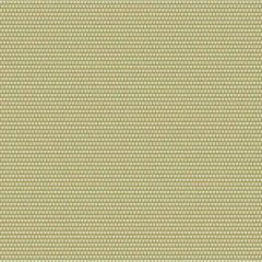 Outdura Sync Basil 11014 Ovation 4 Collection - Garden Spot Upholstery Fabric