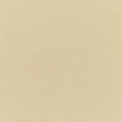 Sunbrella Canvas Antique Beige 5422-0000 Elements Collection Upholstery Fabric