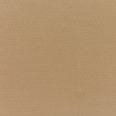 Sunbrella Canvas Cocoa 5425-0000 Elements Collection Upholstery Fabric