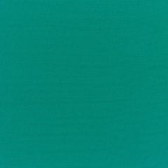 Sunbrella Canvas Teal 5456-0000 Elements Collection Upholstery Fabric