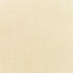 Sunbrella Canvas Vellum 5498-0000 Elements Collection Upholstery Fabric