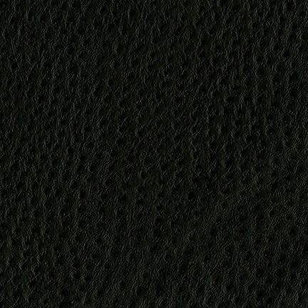 Buy Nassimi Phoenix 003 Caviar Faux Leather Upholstery Fabric by the Yard