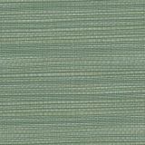 Perennials Snazzy Sea Foam the Usual Suspects Collection Upholstery Fabric