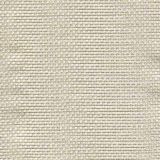Tempotest Michelangelo 50964-13 Indoor/Outdoor Upholstery Fabric