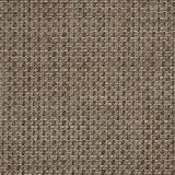 Sunbrella Reed Hickory 50199-0002 Sling Upholstery Fabric