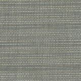 Perennials Snazzy Platinum the Usual Suspects Collection Upholstery Fabric