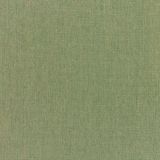Sunbrella Canvas Fern 5487-0000 Elements Collection Upholstery Fabric